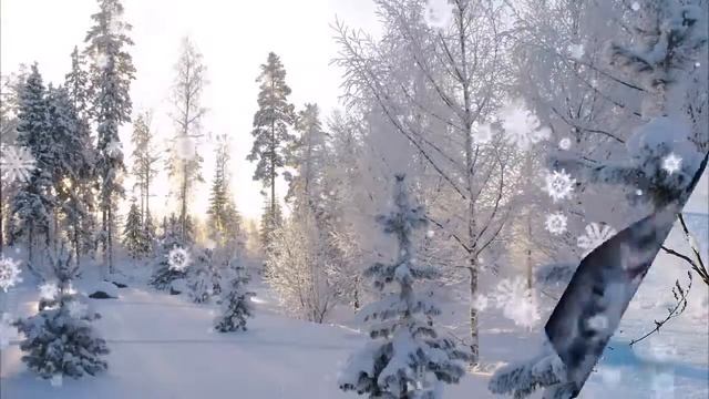 С первым днём зимы! Красивое зимнее видео поздравление смотреть онлайн