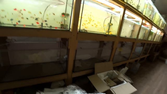 Две посылки с Харькова смотреть онлайн