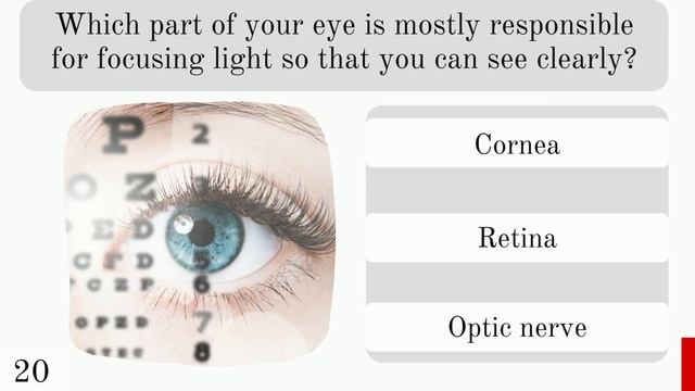 Can You Pass This Human Body Quiz? Quiz No.2 of 4 смотреть онлайн