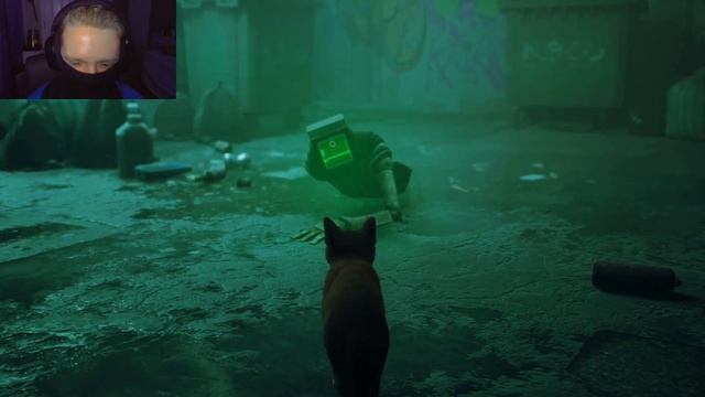 Cute Cat Simulator [Stary part 1] смотреть онлайн