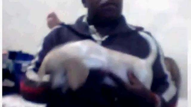 Beagle Fêmea Bicolor - 2 Meses смотреть онлайн