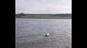 прикормочный кораблик для рыбалки своими руками с эхолотом