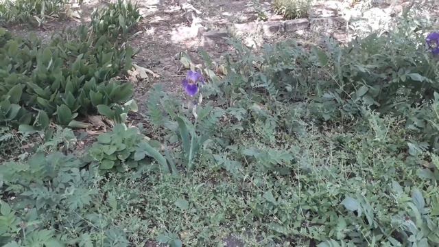 А ГДЕ ЛЮДЯМ ХОДИТЬ? ВЛОГ | МНОГО ЦВЕТОВ И ПРОЙТИ НЕГДЕ | Я ВОЗМУЩЕНА смотреть онлайн