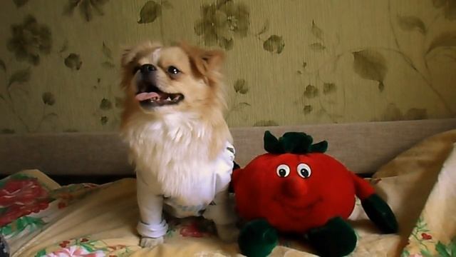 Рони и мистер Помидор смотреть онлайн