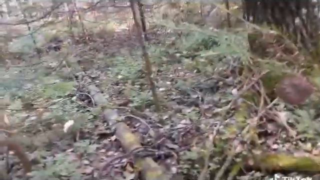 Охота на рябчика смотреть онлайн