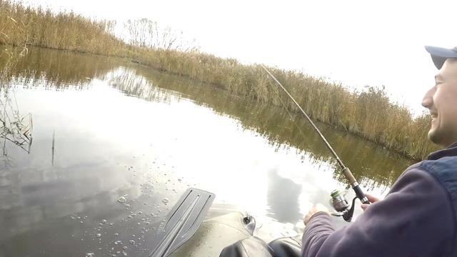 Крутая рыбалка в Браилове, окунь, щука 04.11.2018 смотреть онлайн