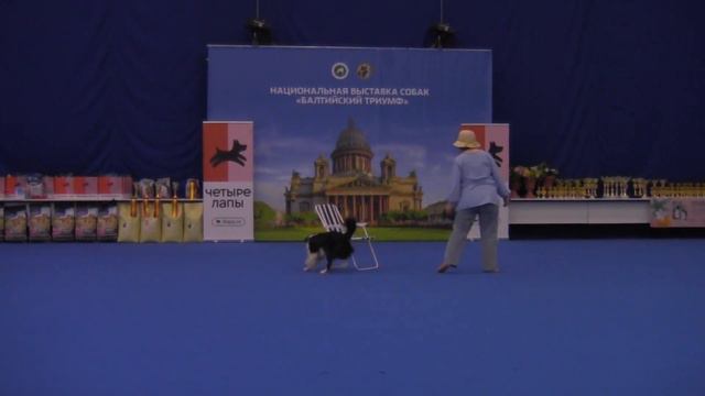Открытый-Фристайл - Лосева Мария и Метис Киса смотреть онлайн
