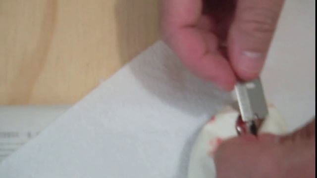 Cutting Ball Python Eggs Pastel X Normal смотреть онлайн