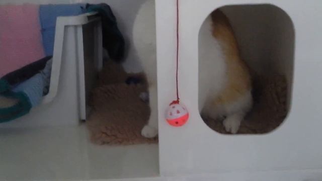 Bright Bill not bored anymore. He's got a HOME! смотреть онлайн
