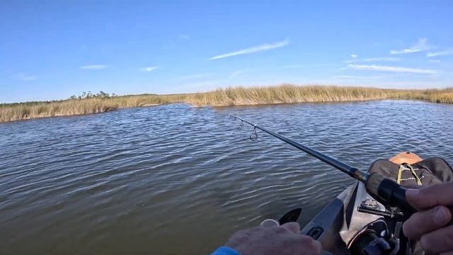 Kayak Fish Nov 25, 2023 смотреть онлайн