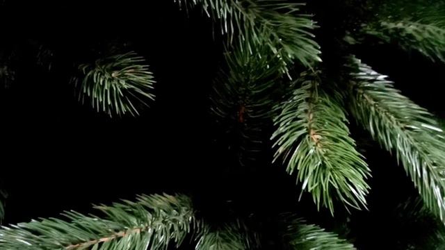 КРЕМЛЕВСКАЯ ЗЕЛЕНАЯ ЛИТАЯ ЕЛЬ КРЗл_3_51 смотреть онлайн