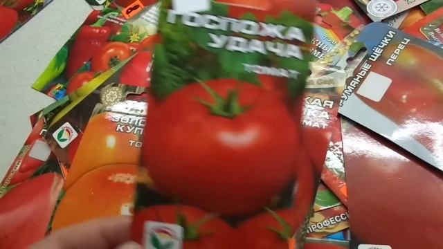 КАКИЕ ТОМАТЫ ВЫБРАТЬ? СОРТ ГОСПОЖА УДАЧА. Обзор Ольги Черновой. смотреть онлайн