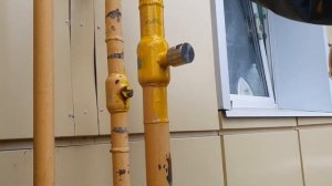 Газовые трубы. Покраска ежегодно ?