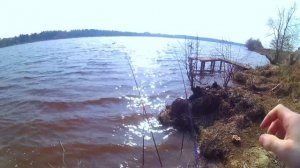 ЛОВЛЯ НА ДОНКУ РАННЕЙ ВЕСНОЙ