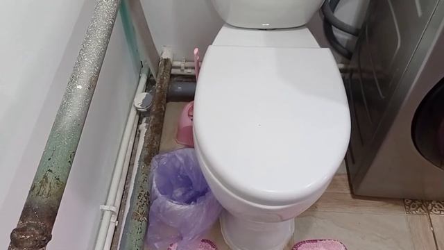 Влог/розы в саду/большая стирка/совет от меня . смотреть онлайн