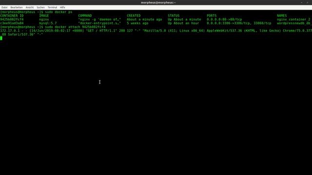 Docker Tutorial #18 - Logs ansehen смотреть онлайн