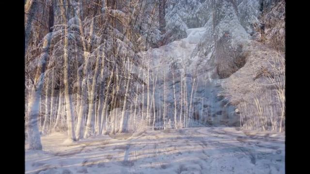Зимние фотографии (2 часть) | Winter Photo (part 2)