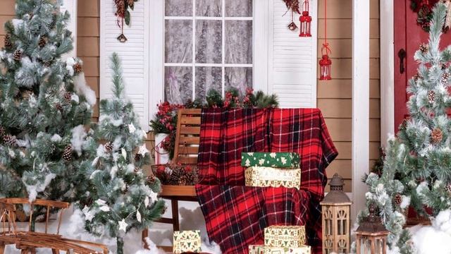 Top 5 Best Christmas Backdrops For Photography In 2019