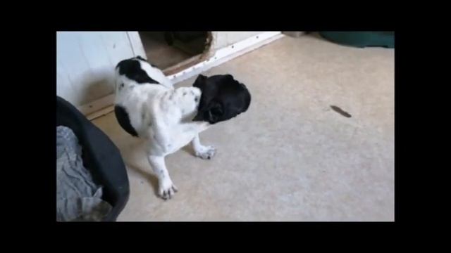 CHERRY Jul-19 смотреть онлайн