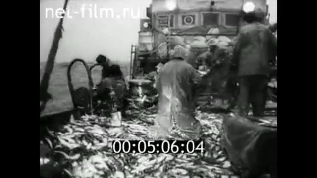 1966г. город Калининград. Сказка янтарного берега смотреть онлайн