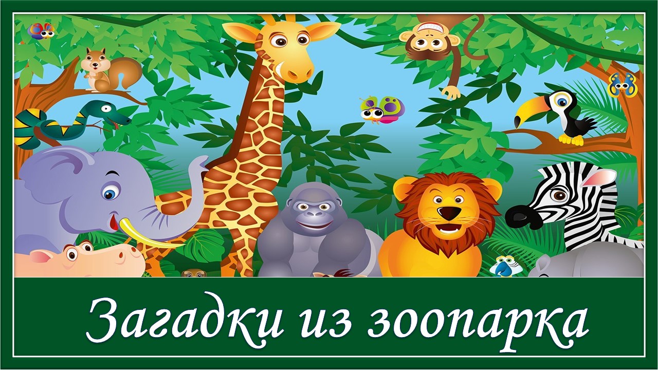 Загадки из зоопарка