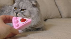 КОТЁНОК СЛАДУН ПРОДАВЕЦ МОРОЖЕНОГО! МНОГО СЛАДОСТЕЙ! РАСПАКОВКА ИГРУШЕК 1 ЧАСТЬ