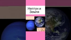 тест кто ты из участниц блэкпинк