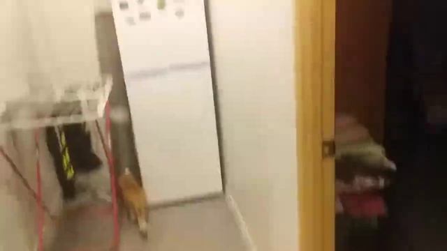 суп какашка