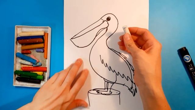 Как нарисовать ПЕЛИКАНА. Рисуем с детьми экзотических птиц. How to draw a PELICAN.