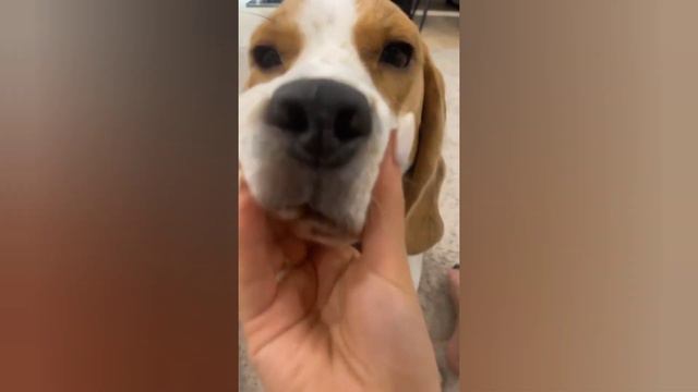 Ксения Мишина показала с кем живет: 