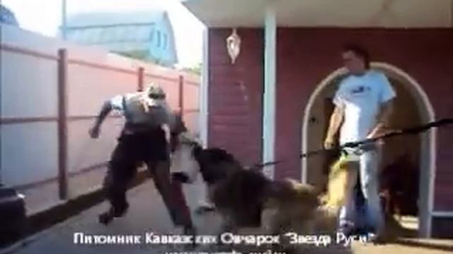 Медведь России Штурман, тестирование 2012 г. ч.6 смотреть онлайн