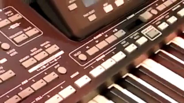 Steve McNally Korg PA3X смотреть онлайн
