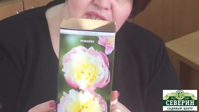 Травянистые пионы смотреть онлайн