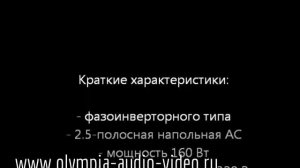 Magnat Monitor Supreme 800