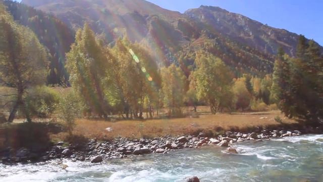 Река Кора. Джунгарский Алатау смотреть онлайн