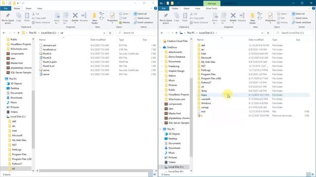 Step 6 Generate ssl for Wamp | ssl for localhost смотреть онлайн