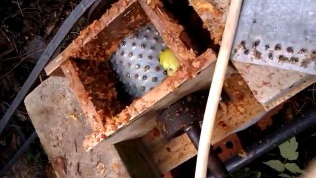 терка дробилка для яблок и отжатия сока своими руками смотреть онлайн