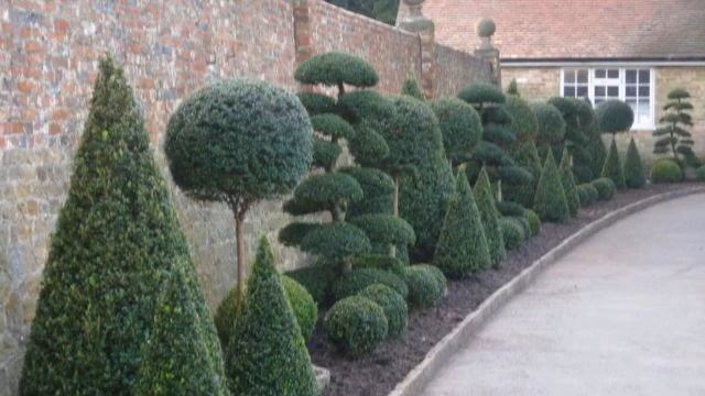 ТОПИАРНОЕ ИСКУССТВО В САДУ / ФАНТАСТИЧЕСКАЯ ПОДБОРКА / topiary art in the garden ? смотреть онлайн