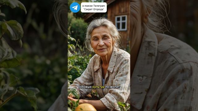 Это восстановит почву лучше любого навоза #дачныесоветы #секретогорода #почва #удобрение #сидераты