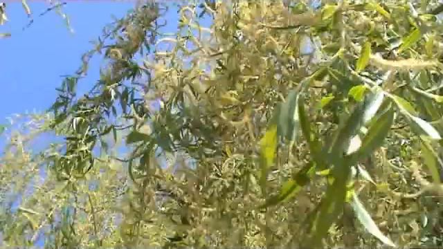 Нэнси_ИВА_ відеокліп Aywengo55 (2010-05-03).wmv смотреть онлайн