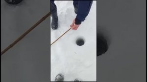 ЛОВИСЬ РЫБКА большая и ФОРЕЛИВАЯ))) Зимняя РЫБАЛКА в King Fish! #shorts #рыбалка #рыбалканафорель