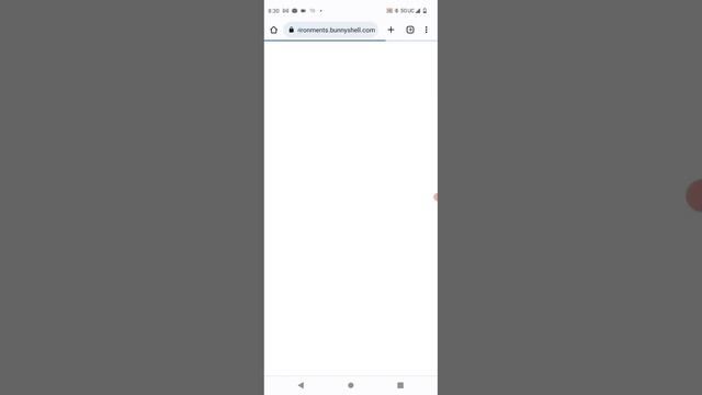 bunny shell git phone combination смотреть онлайн
