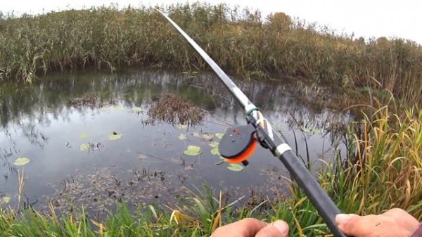 Ловля на боковой кивок. Рыбалка в октябре.  Осенний клёв окуня на мормышку.