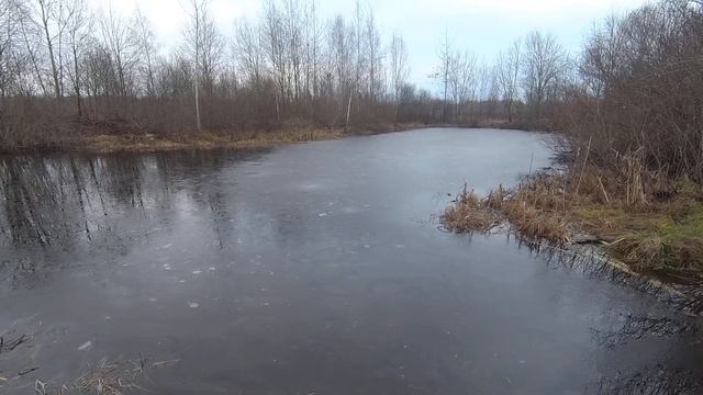 Пруд на даче. Откуда рыба в нашем пруду. Искусственный пруд на участке своими руками. Свой пруд. смотреть онлайн