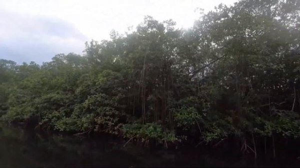 Удивительные места Гвинейского залива/Атлантический океан/Габон/Африка/Atlantic ocean/Gabon/Africa