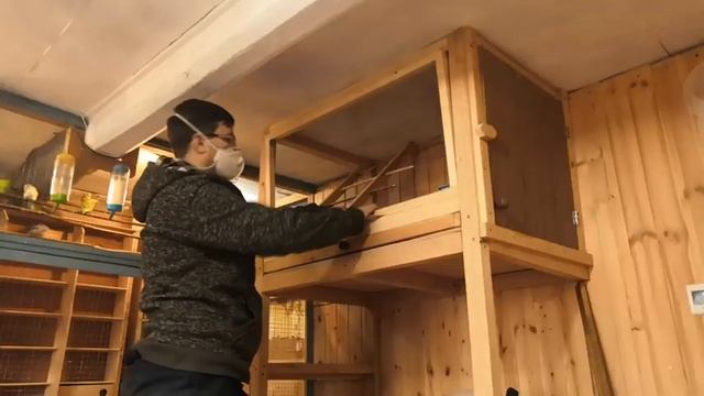 Клетка для разведения волнистых попугаев. смотреть онлайн