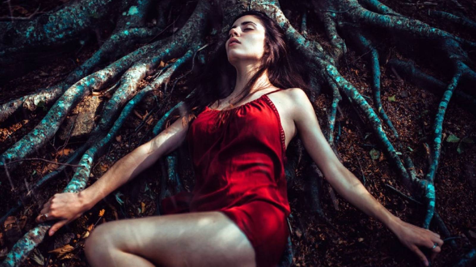 Stive Morgan - MYSTICAL WOOD // Стив Морган – ТАИНСТВЕННЫЙ ЛЕС смотреть онлайн