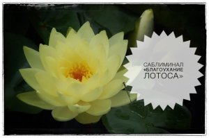 САБЛИМИНАЛ «БЛАГОУХАНИЕ ЛОТОСА»🪷 🤲👠 #саблиминалы #лотос #женскаяэнергия #божественное