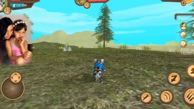 СПАСЛИ КОТЯТ СИМУЛЯТОР Маленького КОТЕНКА и СОБАКИ Челлендж с животными детский летсплей Валеришка смотреть онлайн