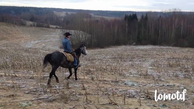 Конный поход в ноябре. Клуб "Золотая Шпора" смотреть онлайн
